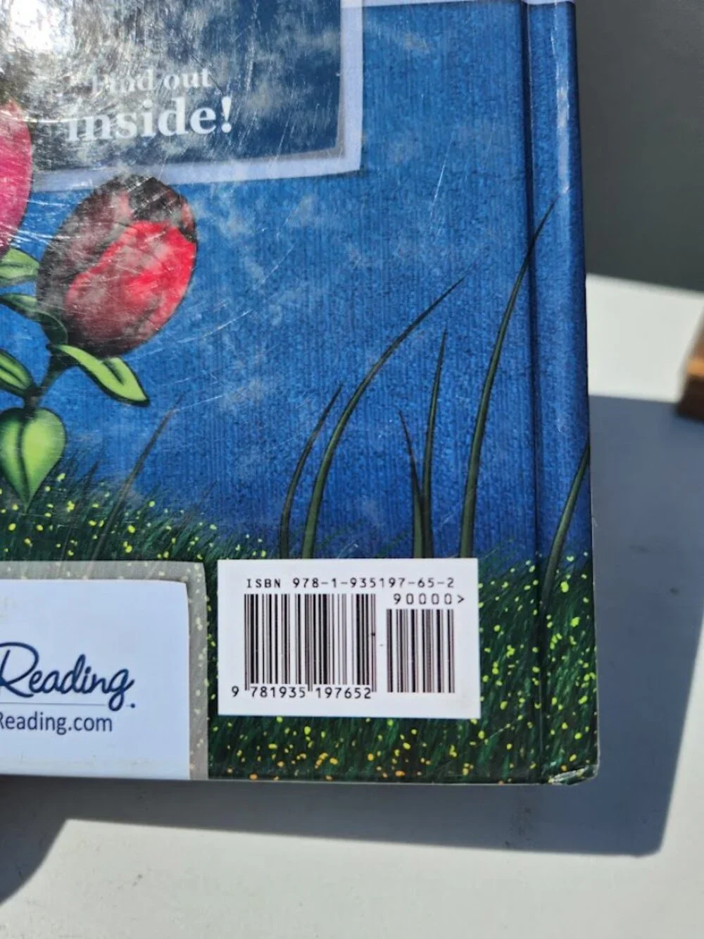 Scholastic run bug